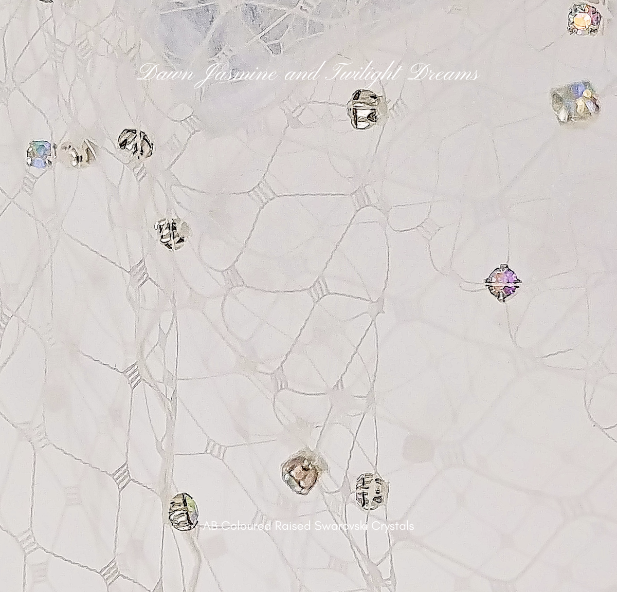 Swarovski Crystal Bandeau Birdcage Veil | The Grace