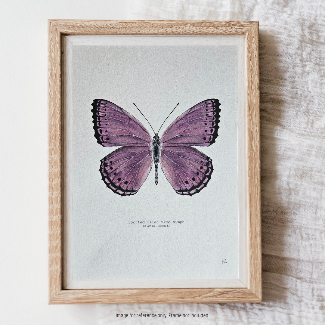 Watercolour Art Print - 'Spotted Lilac Butterfly'