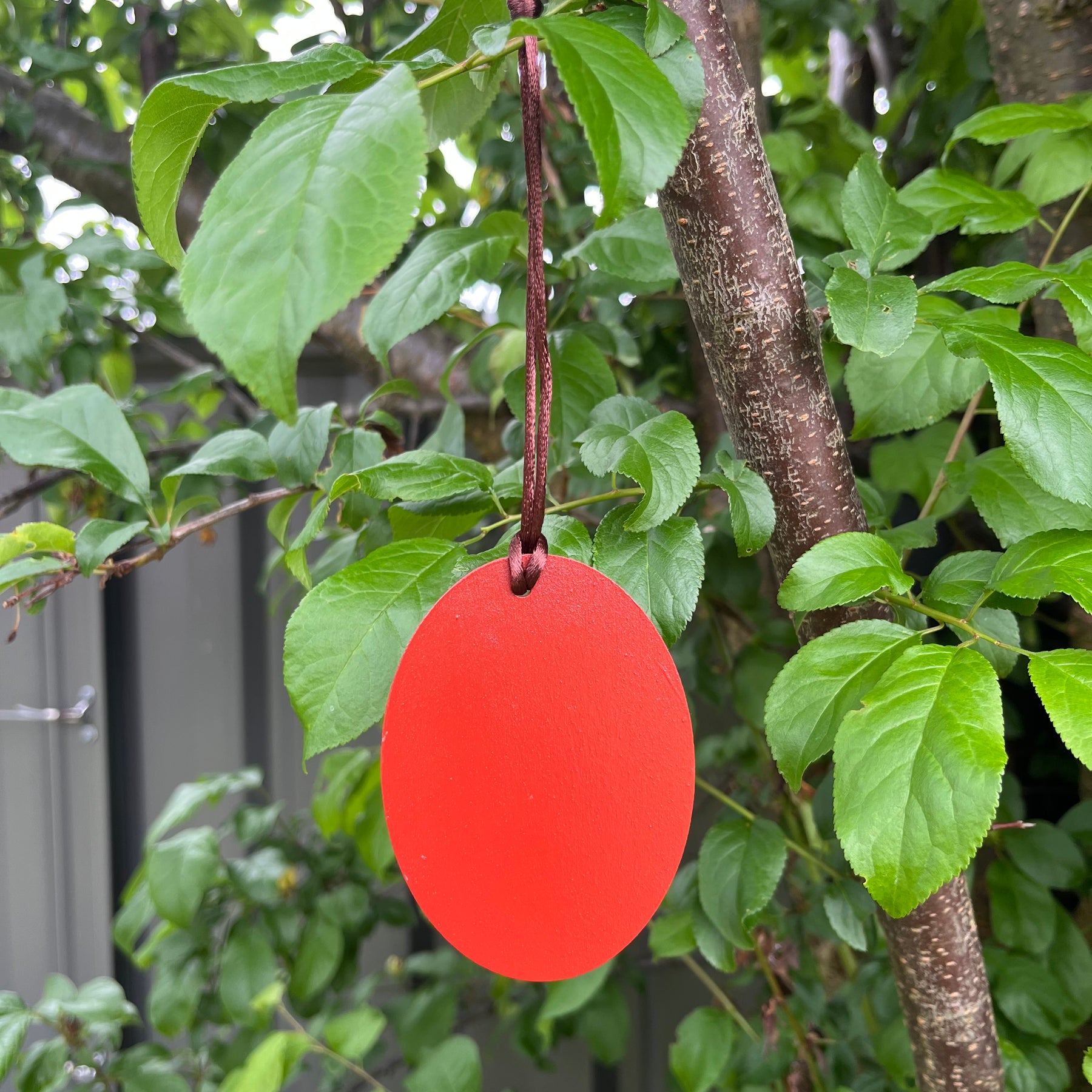 Yellow-tailed Black Cockatoo Bauble | Hand-painted | Christmas Decoration | Australian Native Birds
