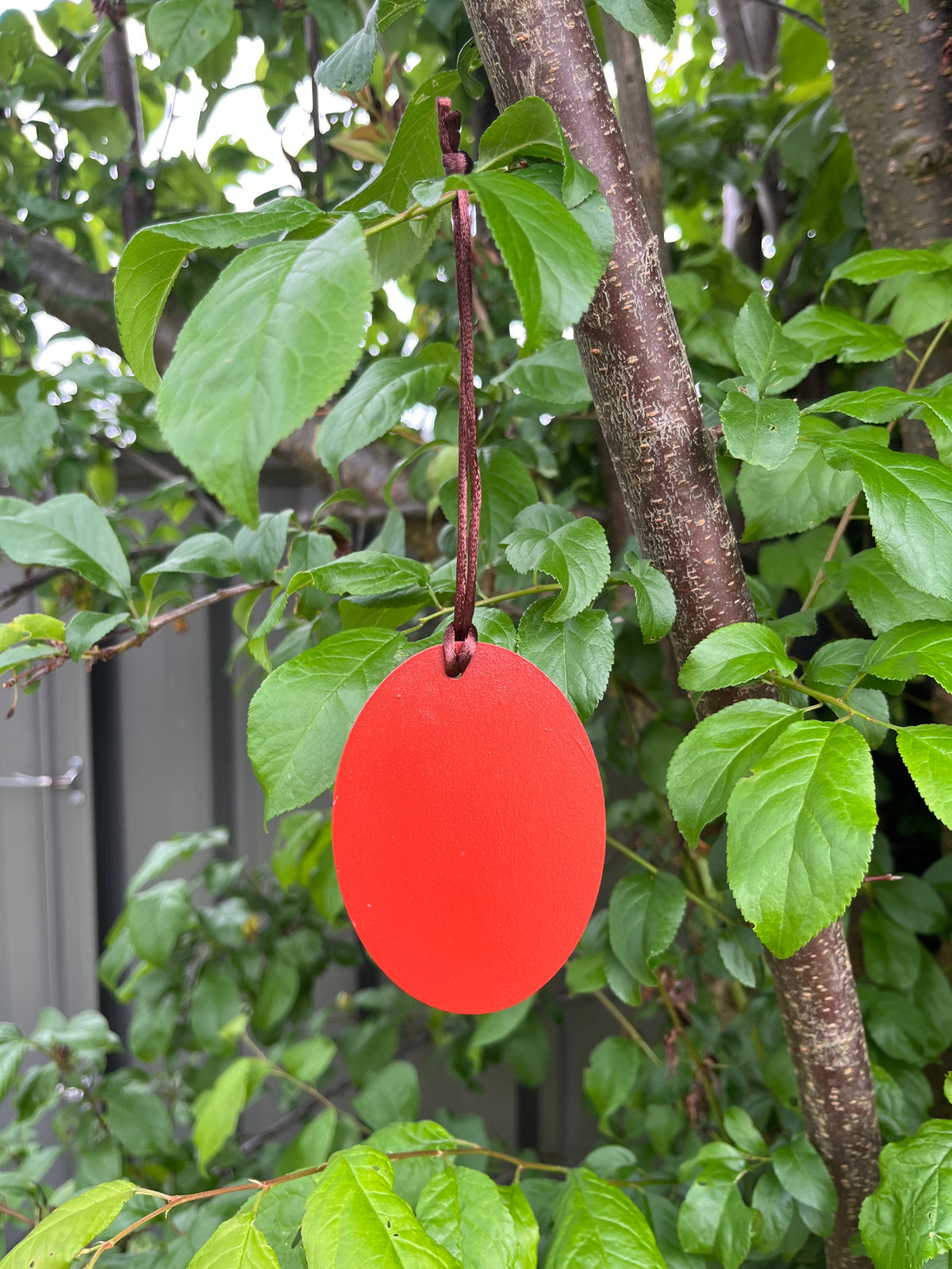 Yellow-tailed Black Cockatoo Bauble | Hand-painted | Christmas Decoration | Australian Native Birds