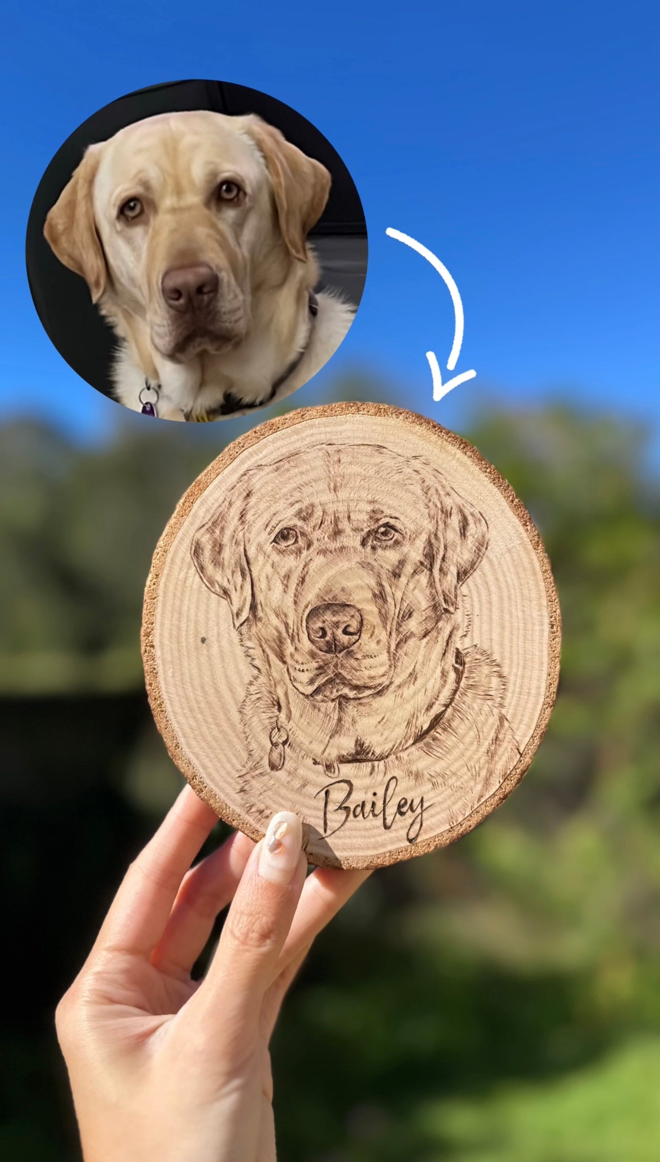 Natural Wood Circle Custom Pet Portrait – Hand-Burned Pyrography Art