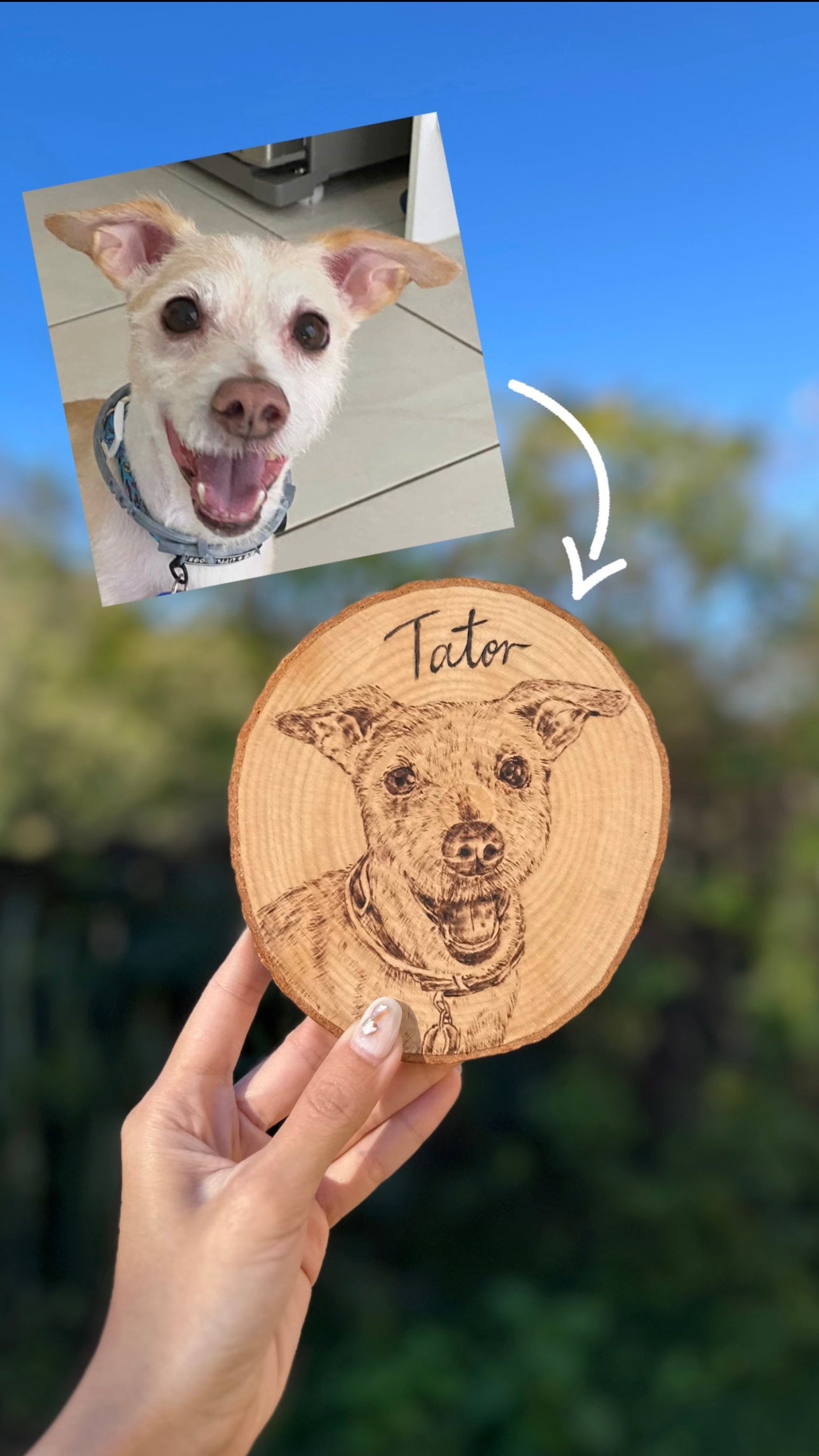 Natural Wood Circle Custom Pet Portrait – Hand-Burned Pyrography Art