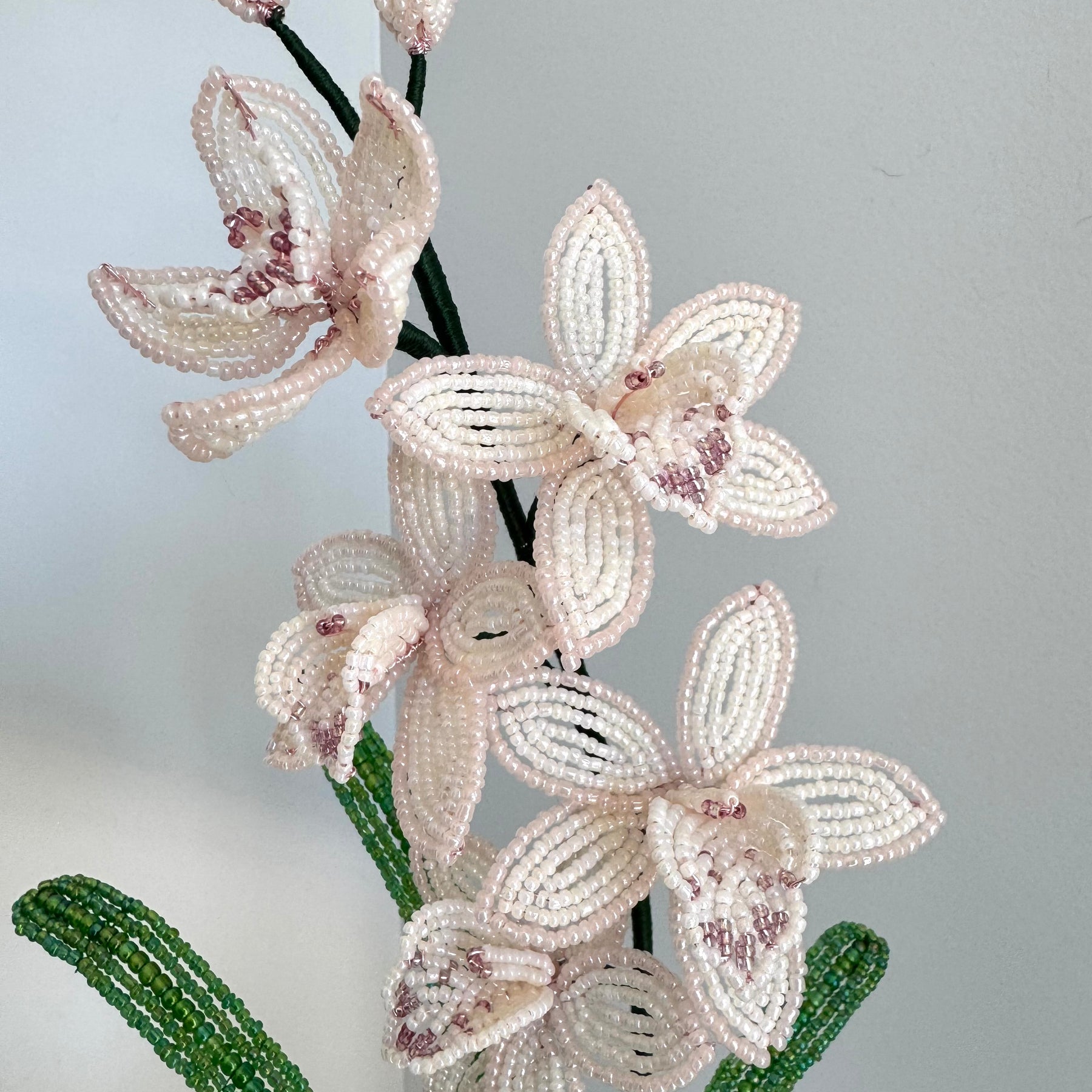French-beaded miniature Cymbidium Orchid