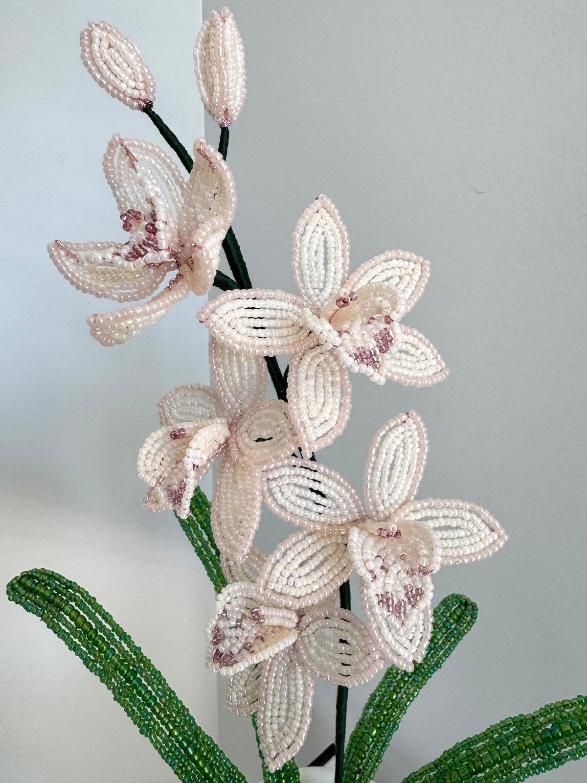 French-beaded miniature Cymbidium Orchid
