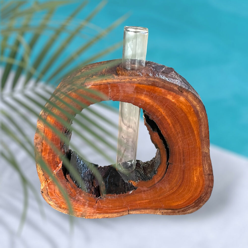 Rustic hardwood vase - full - test tube