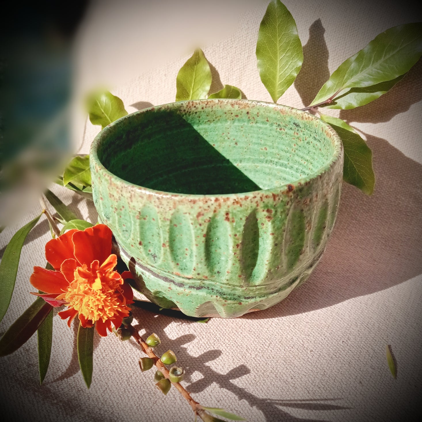 Bushland Coffee Bowl