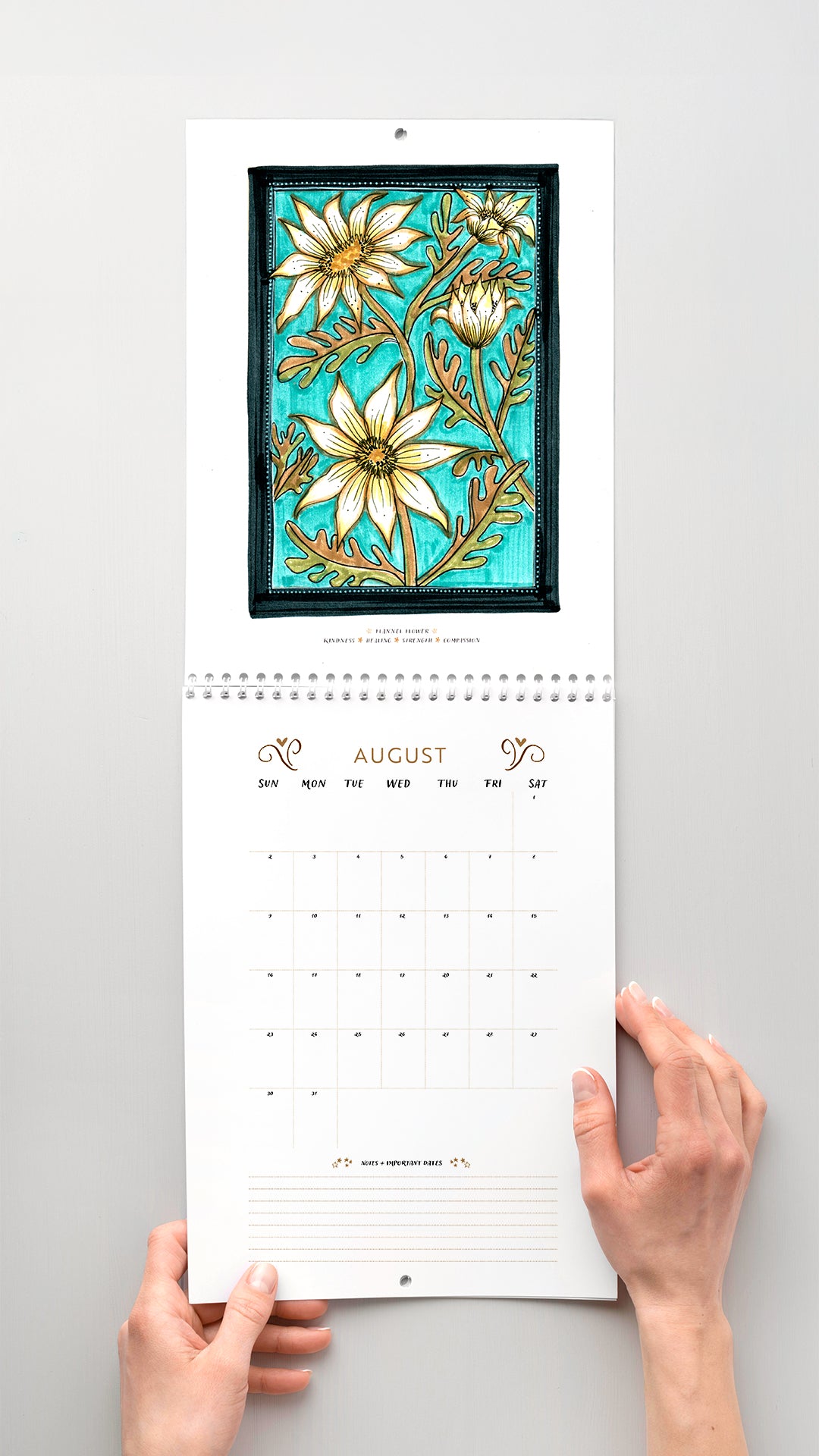 Colouring in Calendar – Australian Native Birth Flower 2026