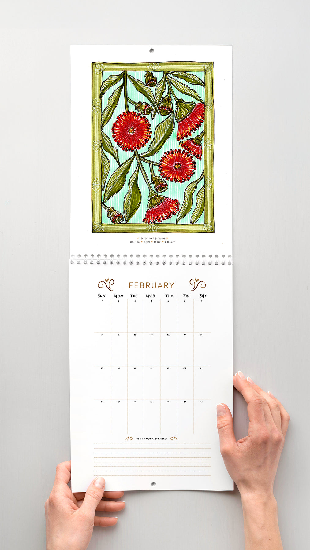 Colouring in Calendar – Australian Native Birth Flower 2026