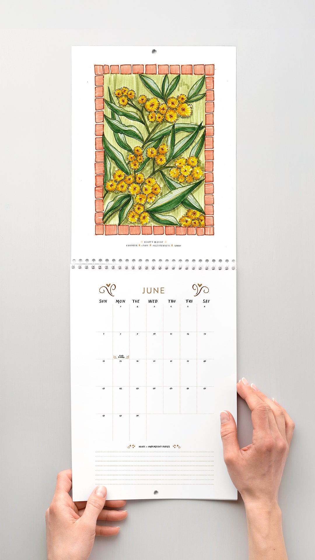 Colouring in Calendar – Australian Native Birth Flower 2026