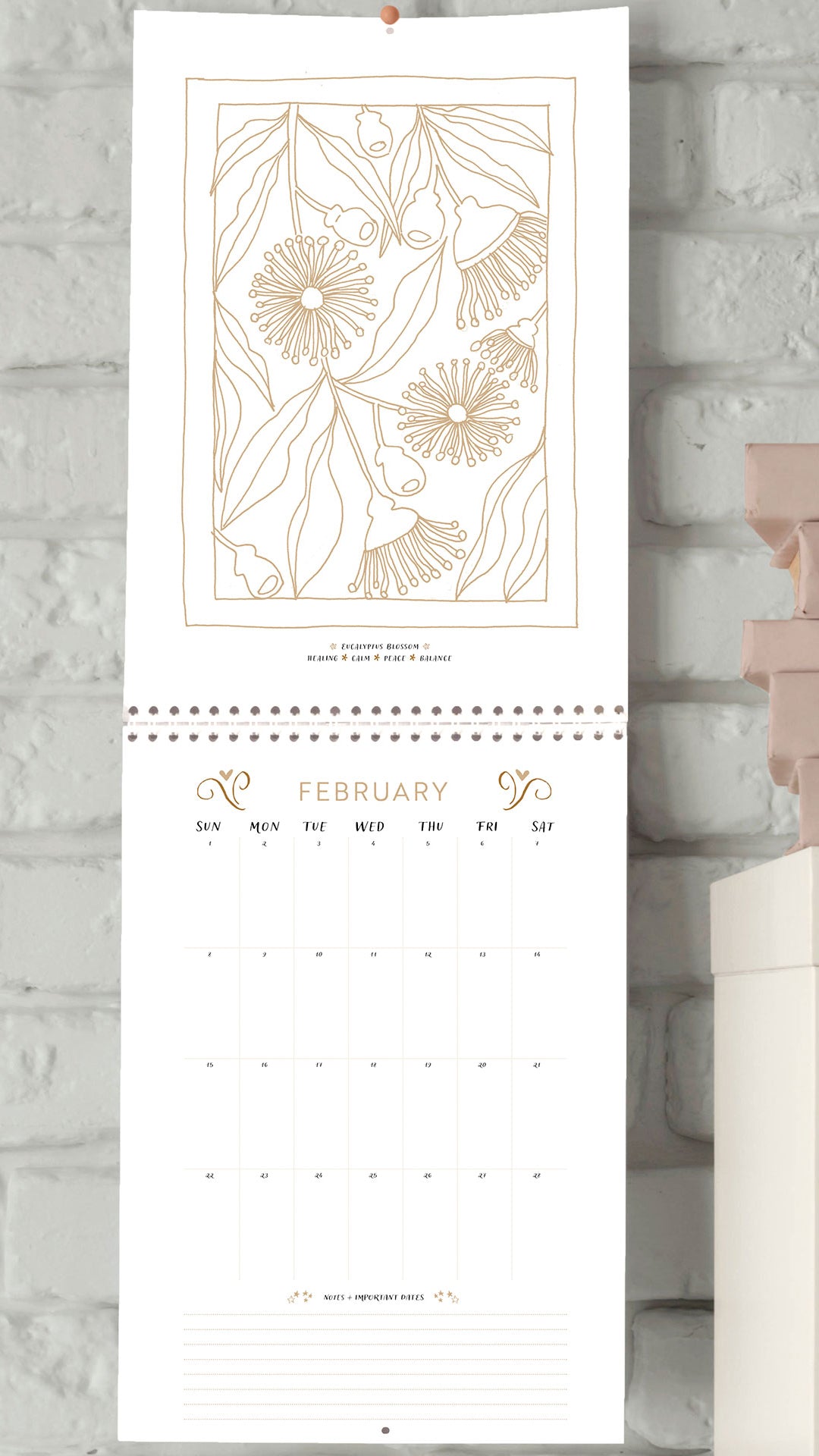 Colouring in Calendar – Australian Native Birth Flower 2026