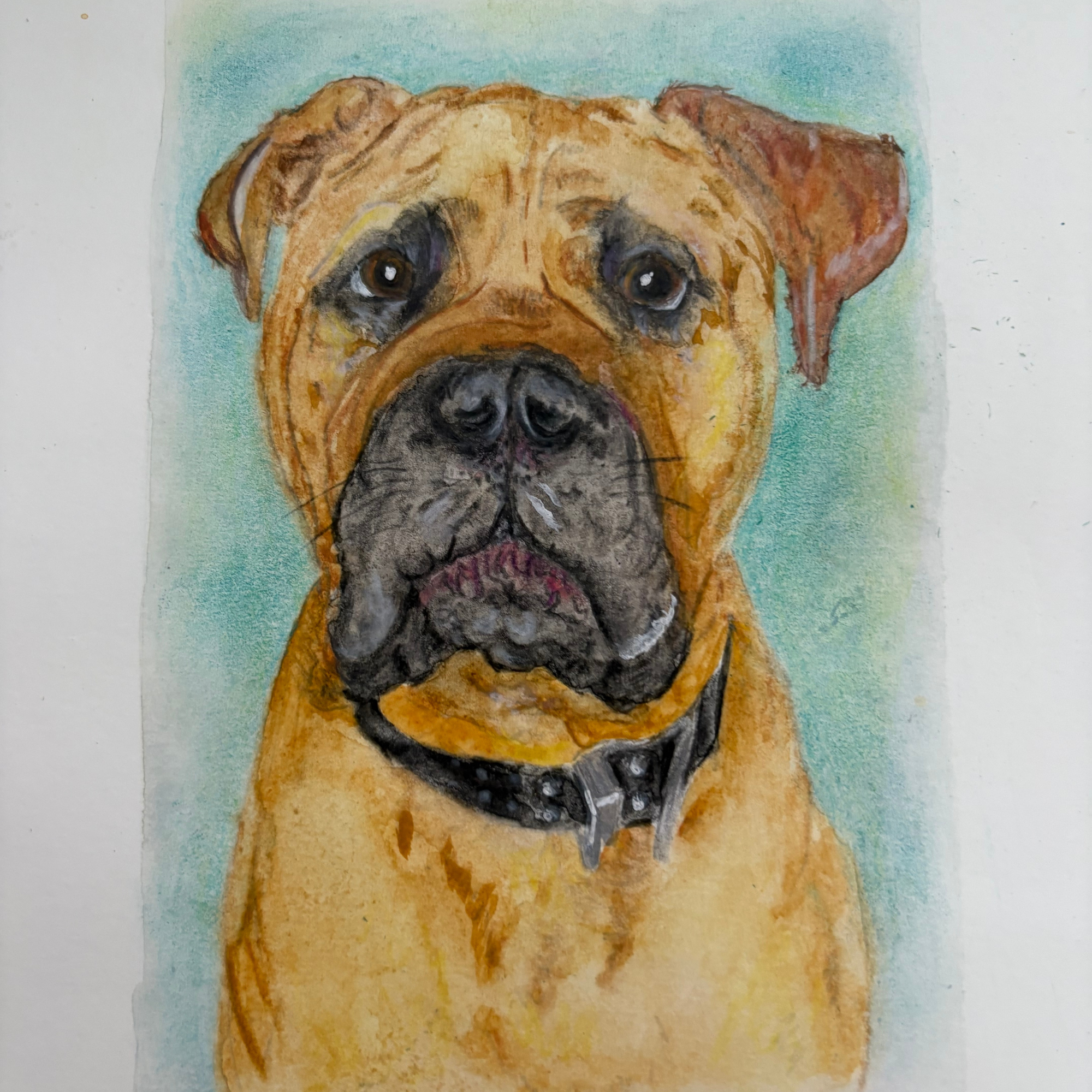 Pet Portrait Watercolour – Soul Imprint A5