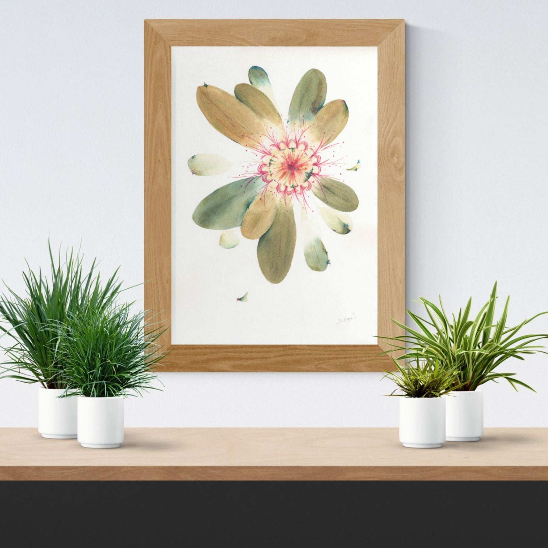Commissioned Original Banksia Watercolour Painting - A4 Botanical Artwork (Sold)