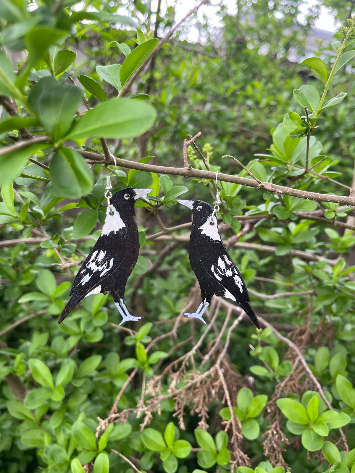 Magpie | Australian Native Bird | Earrings