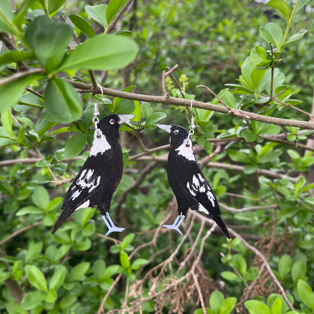 Magpie | Australian Native Bird | Earrings