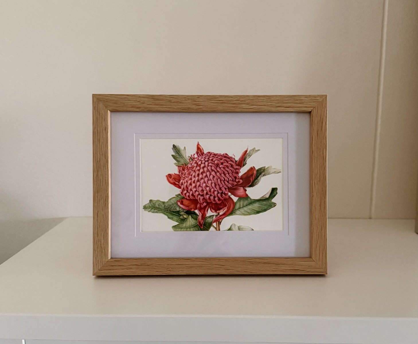 Waratah Botanical Art Card - Print of Original Painting