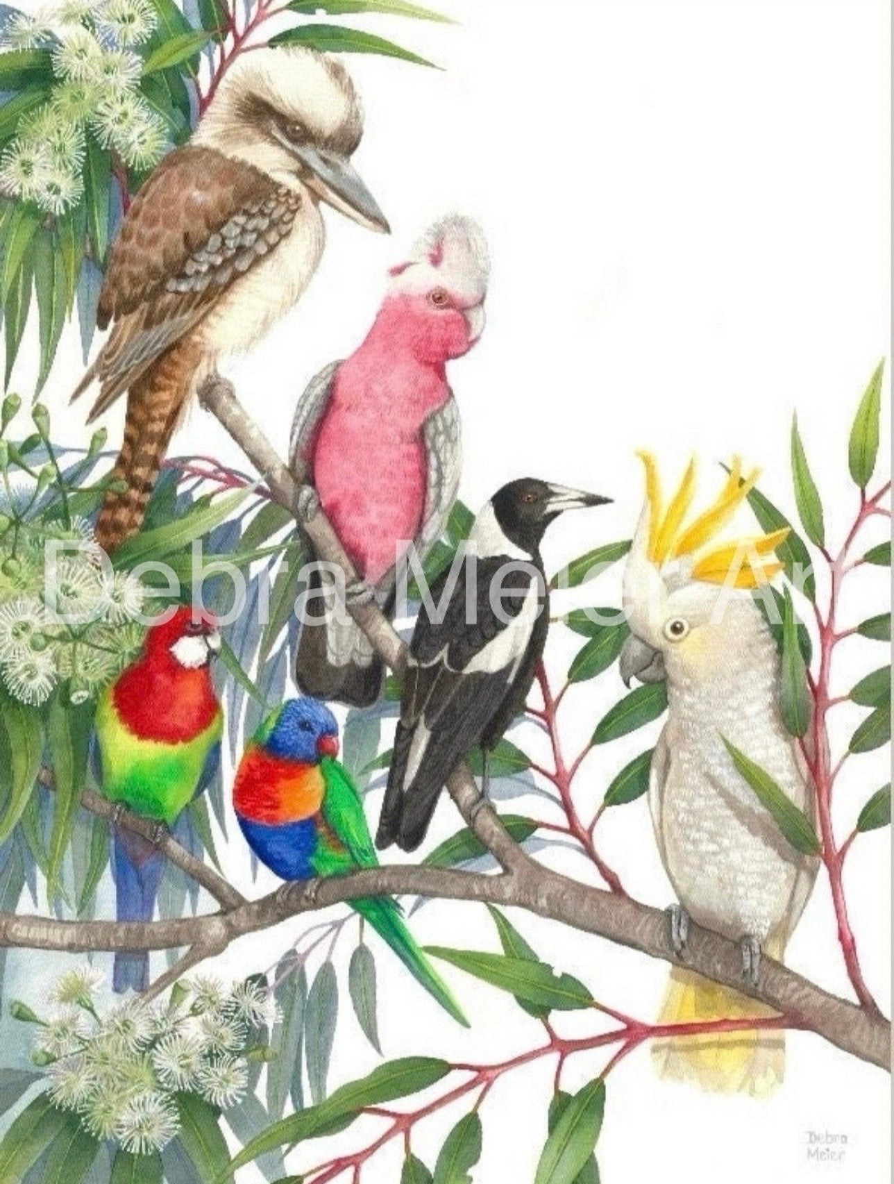 Native Birds art print by Debra Meier Art