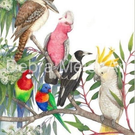Native Birds art print by Debra Meier Art