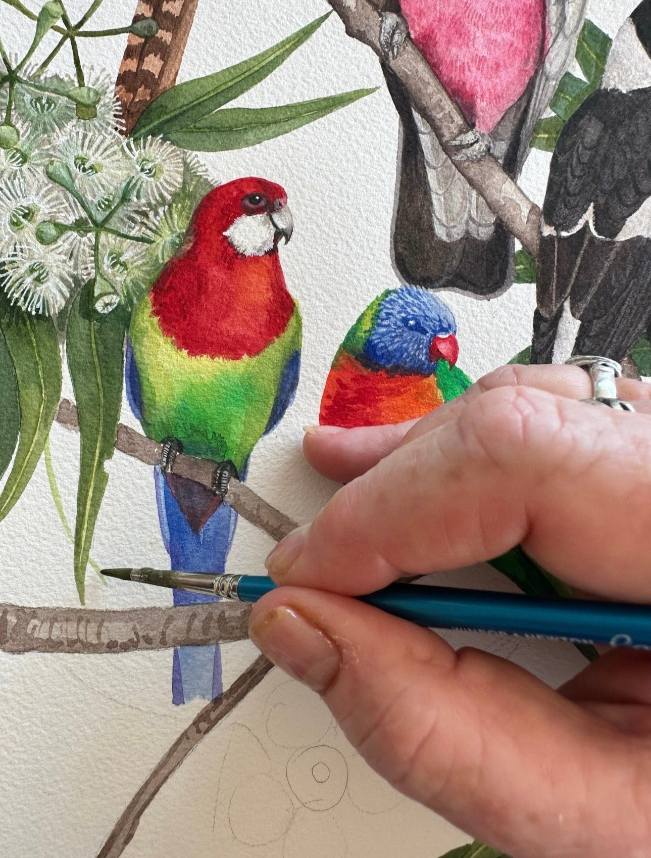 Native Birds art print by Debra Meier Art