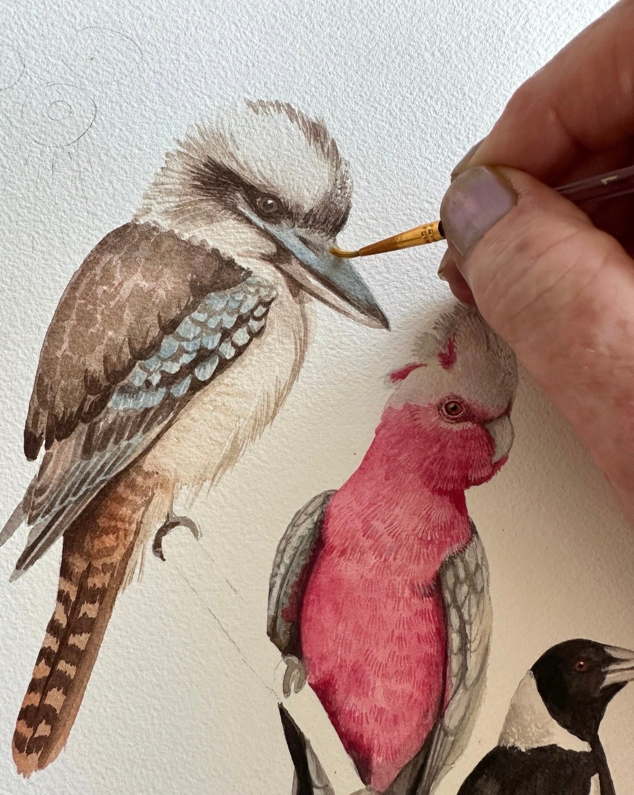 Native Birds art print by Debra Meier Art