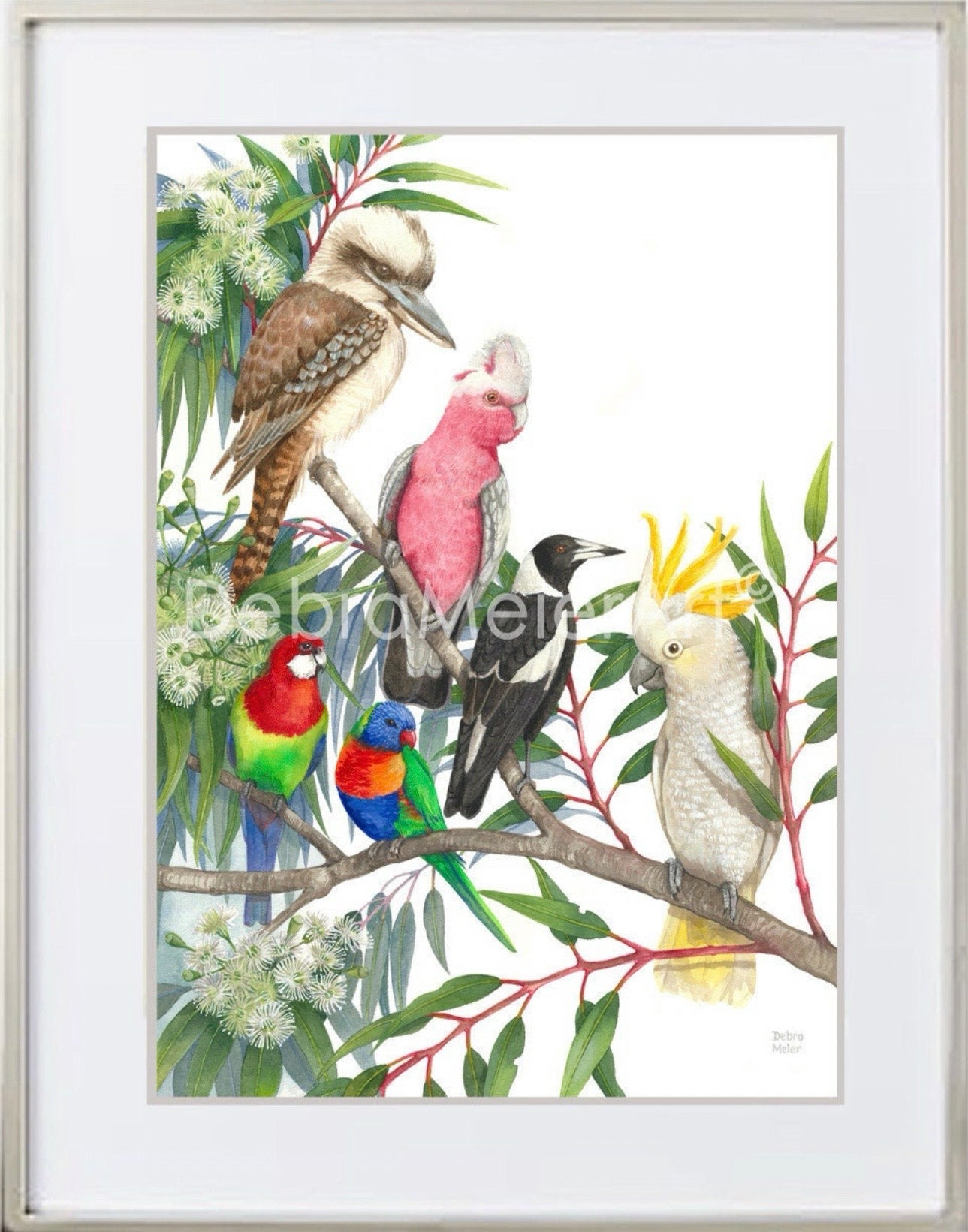 Native Birds art print by Debra Meier Art