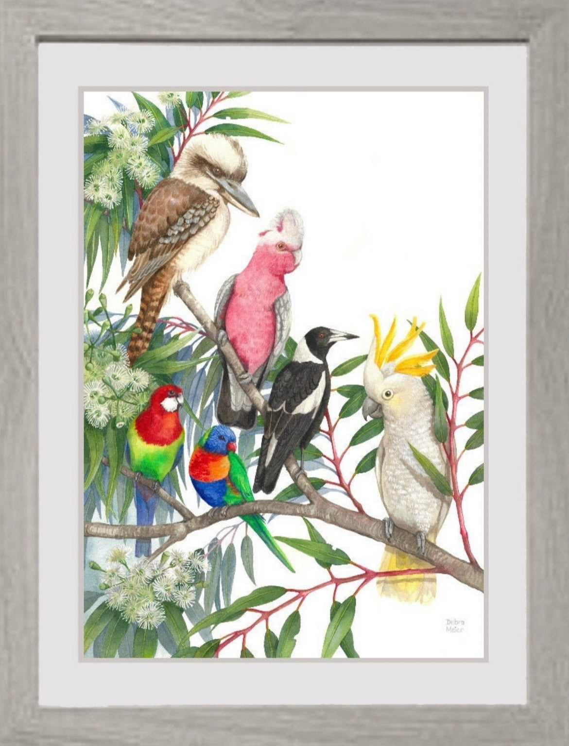 Native Birds art print by Debra Meier Art