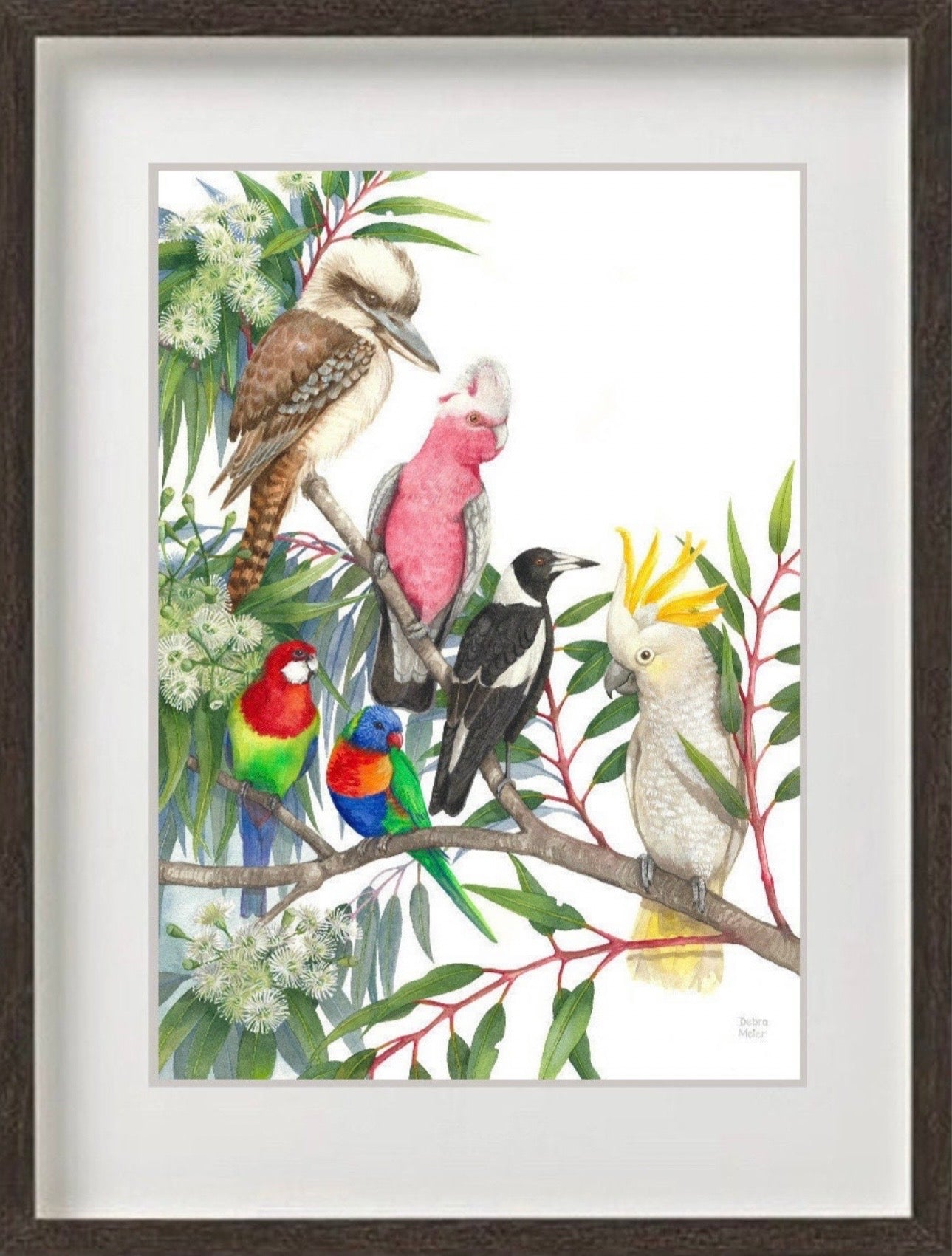 Native Birds art print by Debra Meier Art