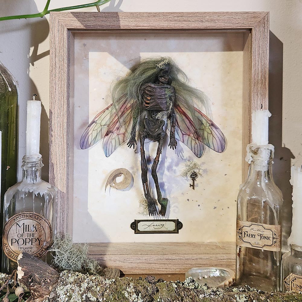 Faery Specimen #147 Mummified Fairy Framed Curio