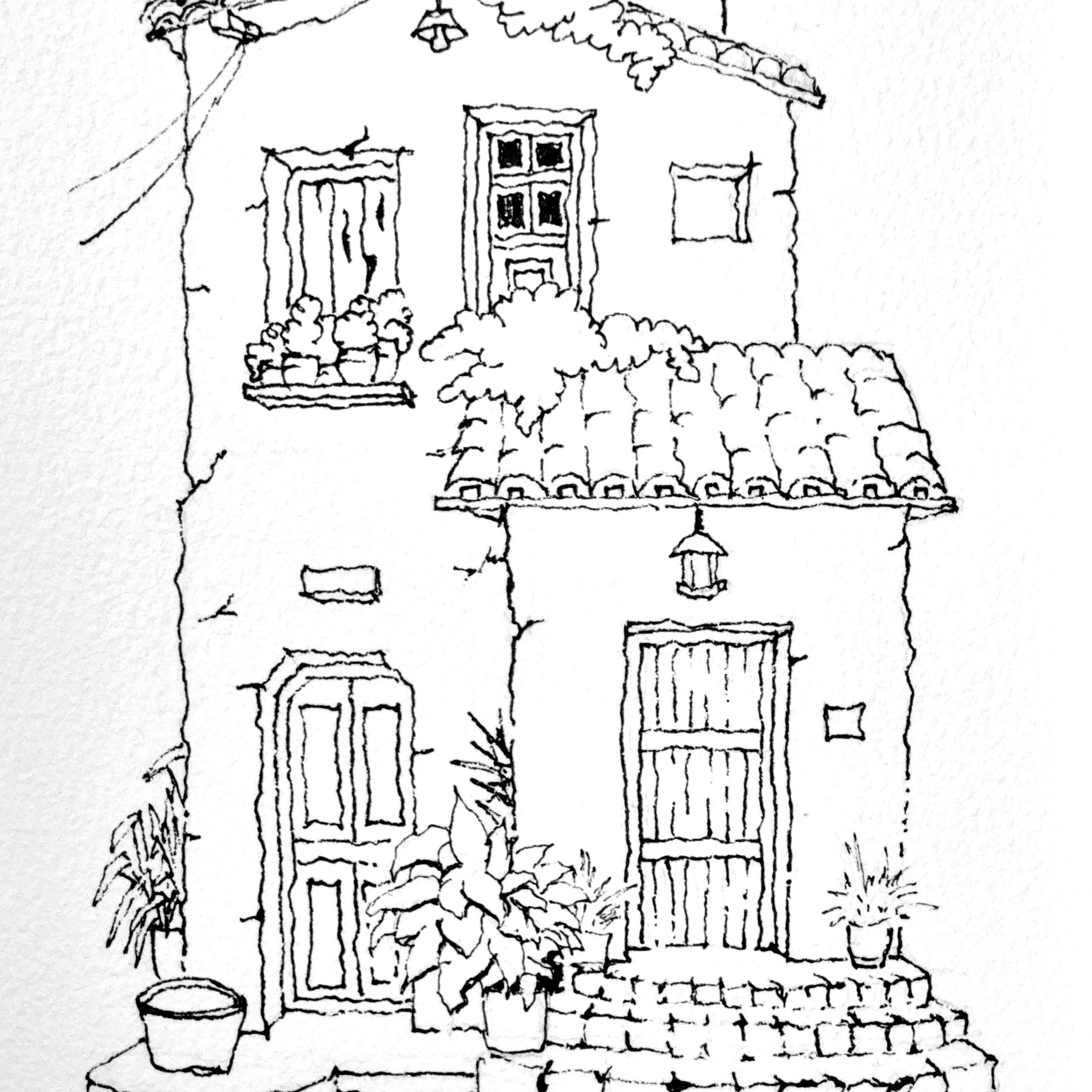 The house the plants chose