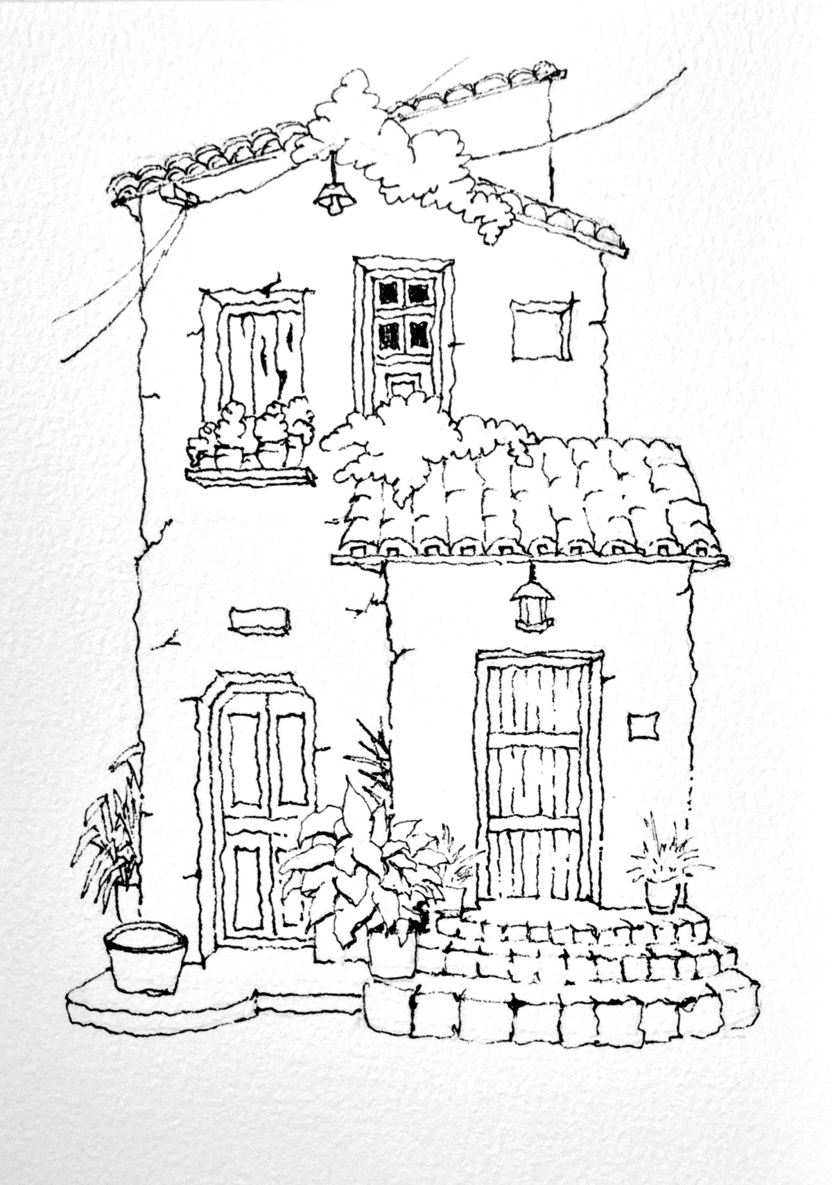 The house the plants chose