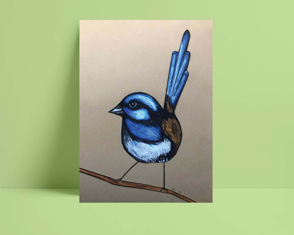 Superb Fairy Wren Print A3