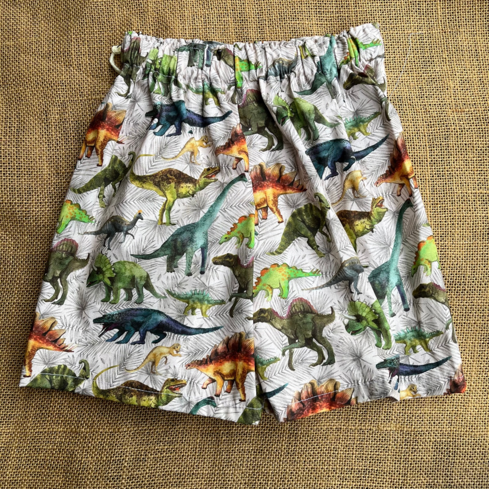 Toddler shorts | dinosaurs 🦕