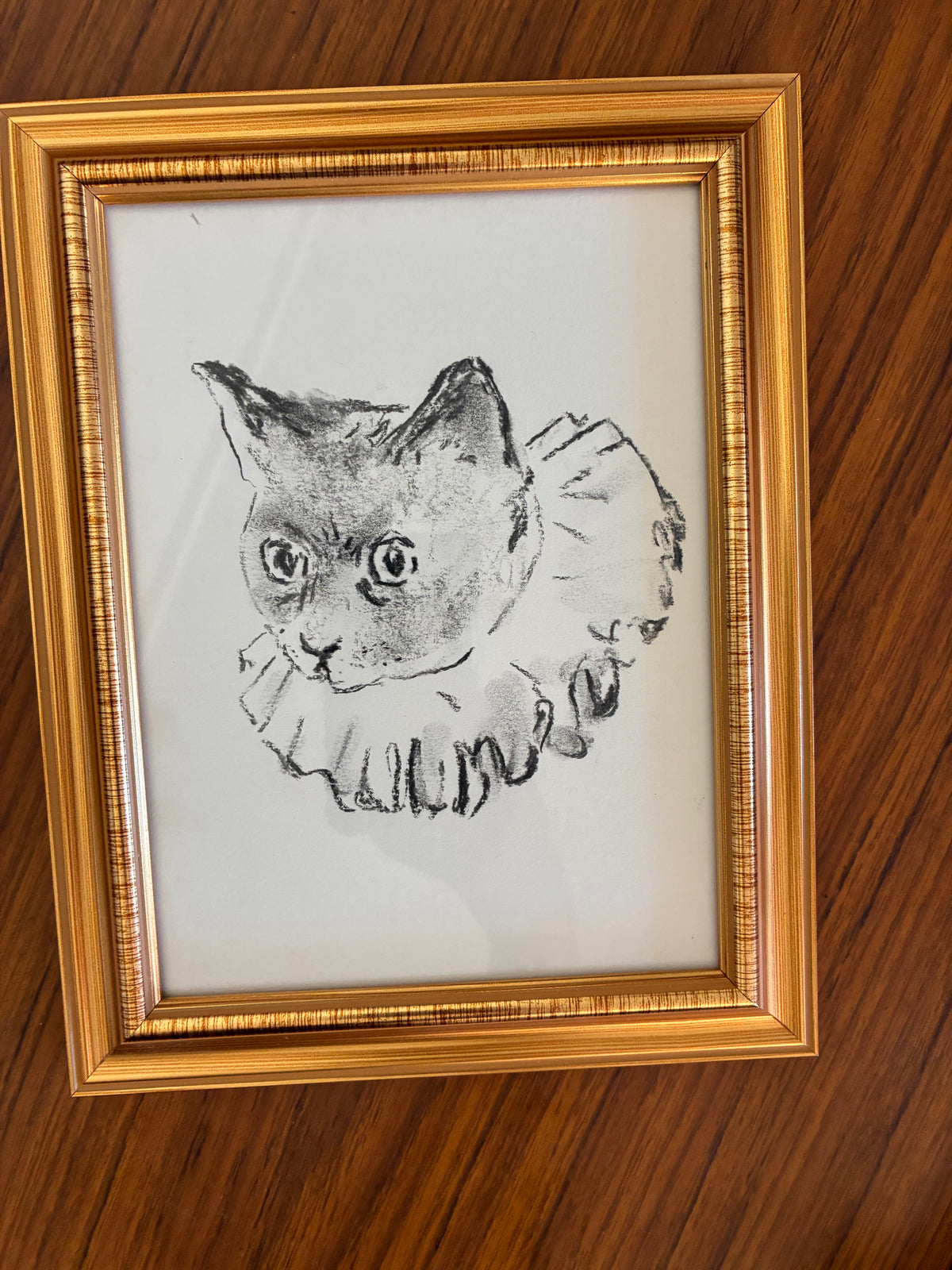 charcoal drawing of a clown cat
