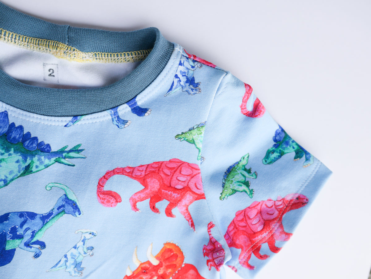 Rainbow dinosaur organic cotton dress 2026-27
