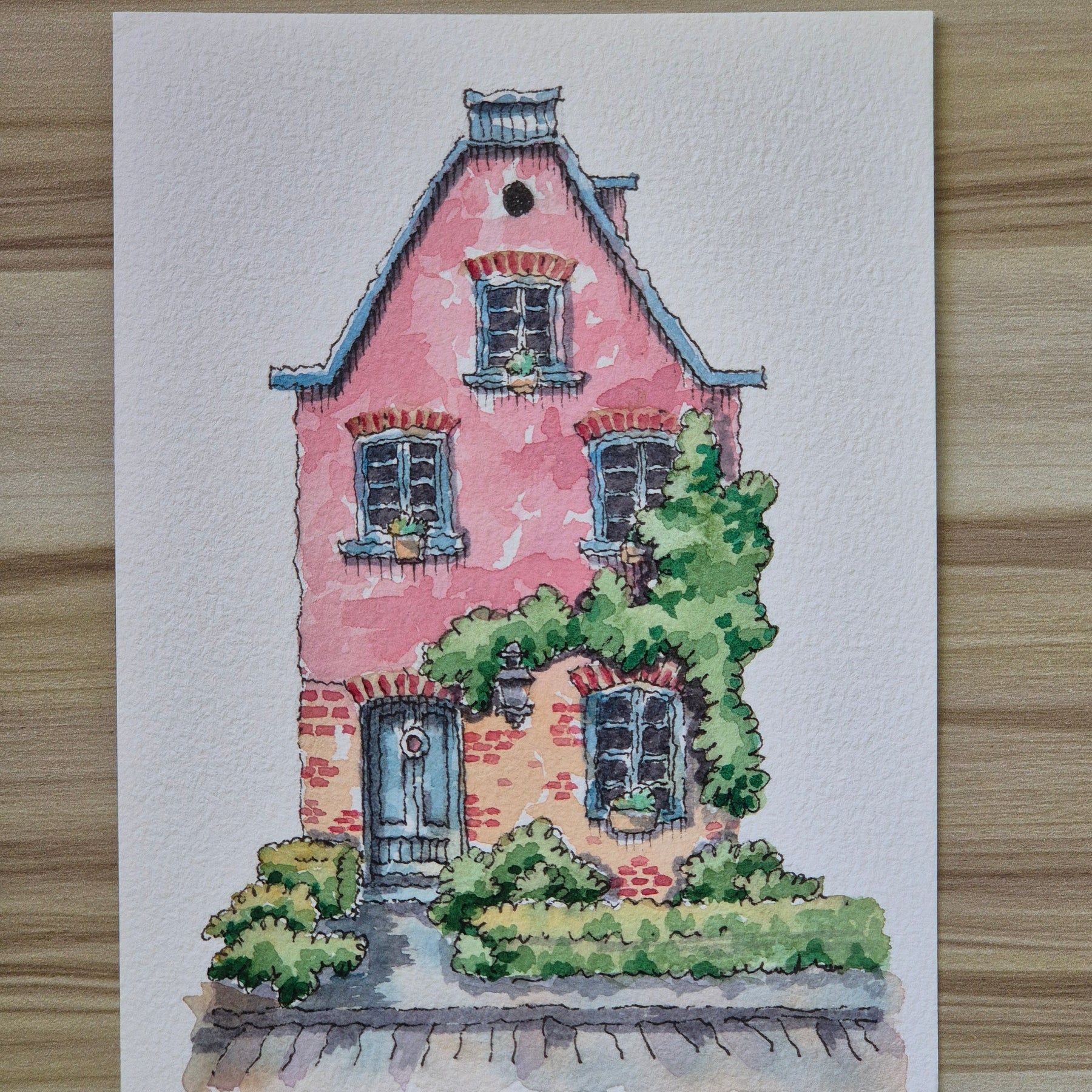The climbing garden