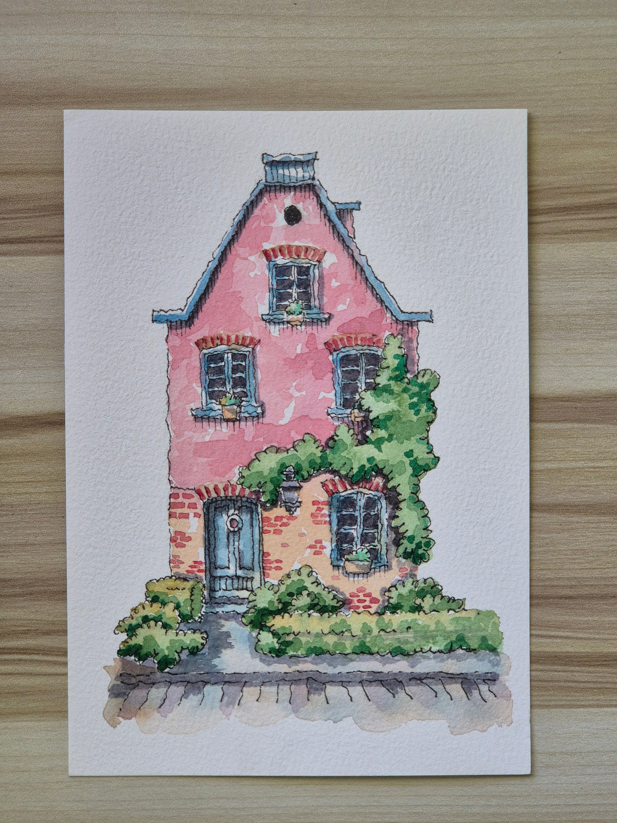 The climbing garden