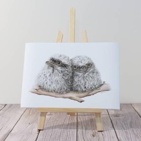 Wall Art Tawny Frogmouth Chicks Print