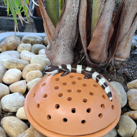 Mosquito Coil Holder with built in stand, Banded Gecko