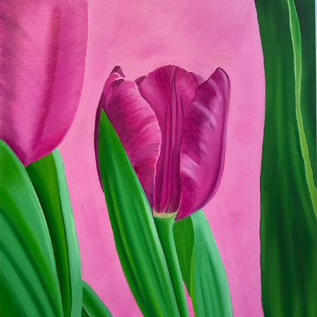 Pink Tulip