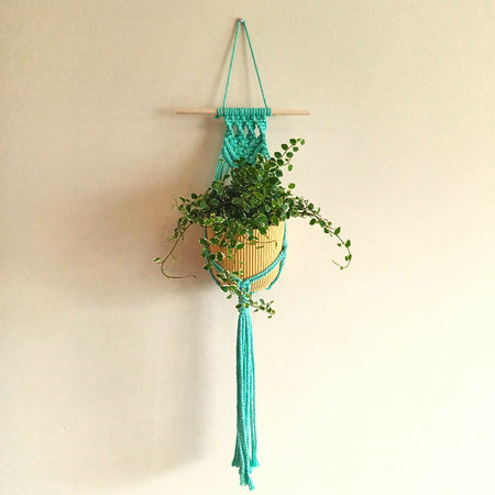 Macrame Plant Wall Hanging - Teal