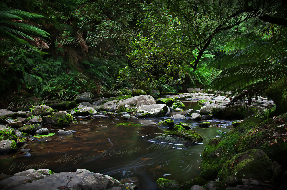 9162-Otway-1024x680-Watermark