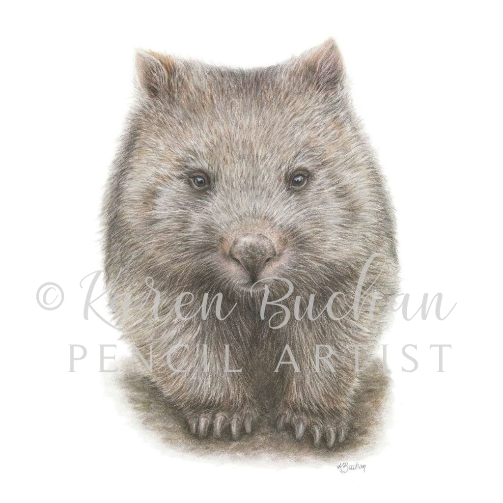 Wombat | Blank Greeting Card | Australian Wildlife | Recycled