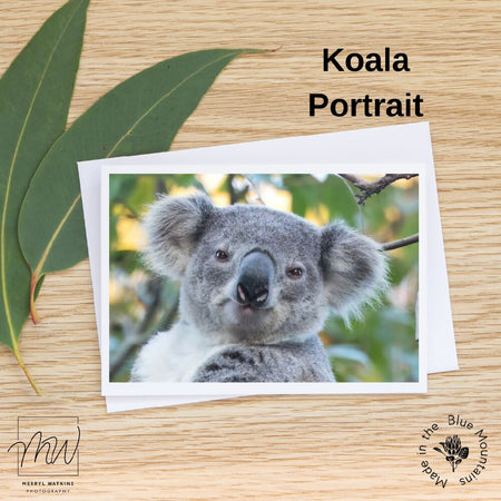 Blank Greeting Card - Koala Portrait