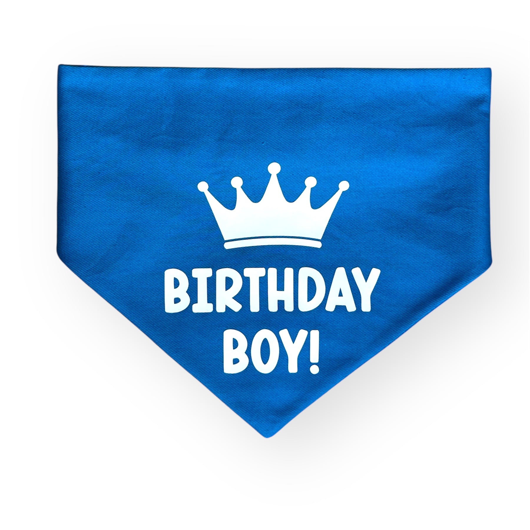 Dog Birthday - Dog Scrunchie Bandana