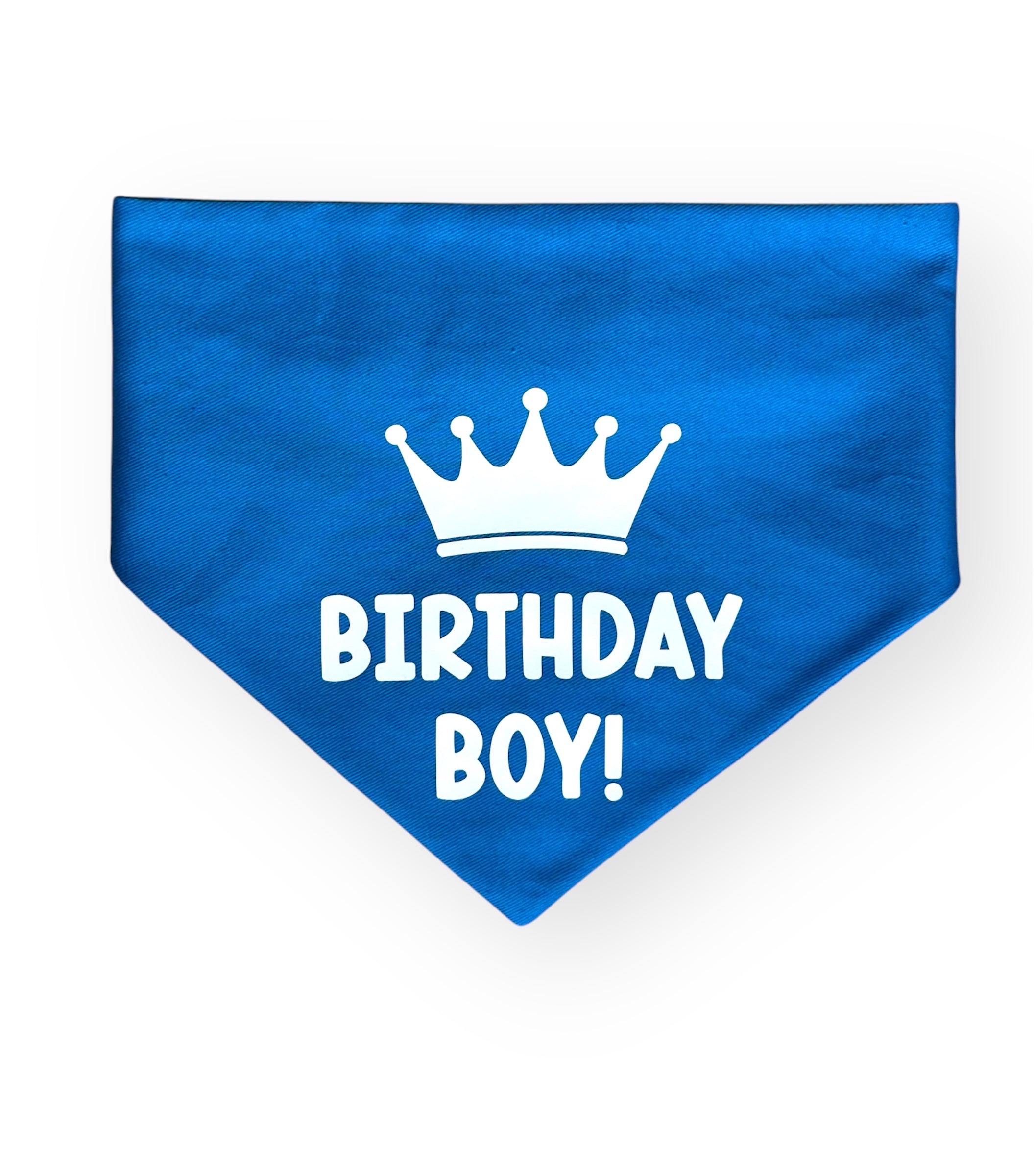 Dog Birthday - Dog Scrunchie Bandana