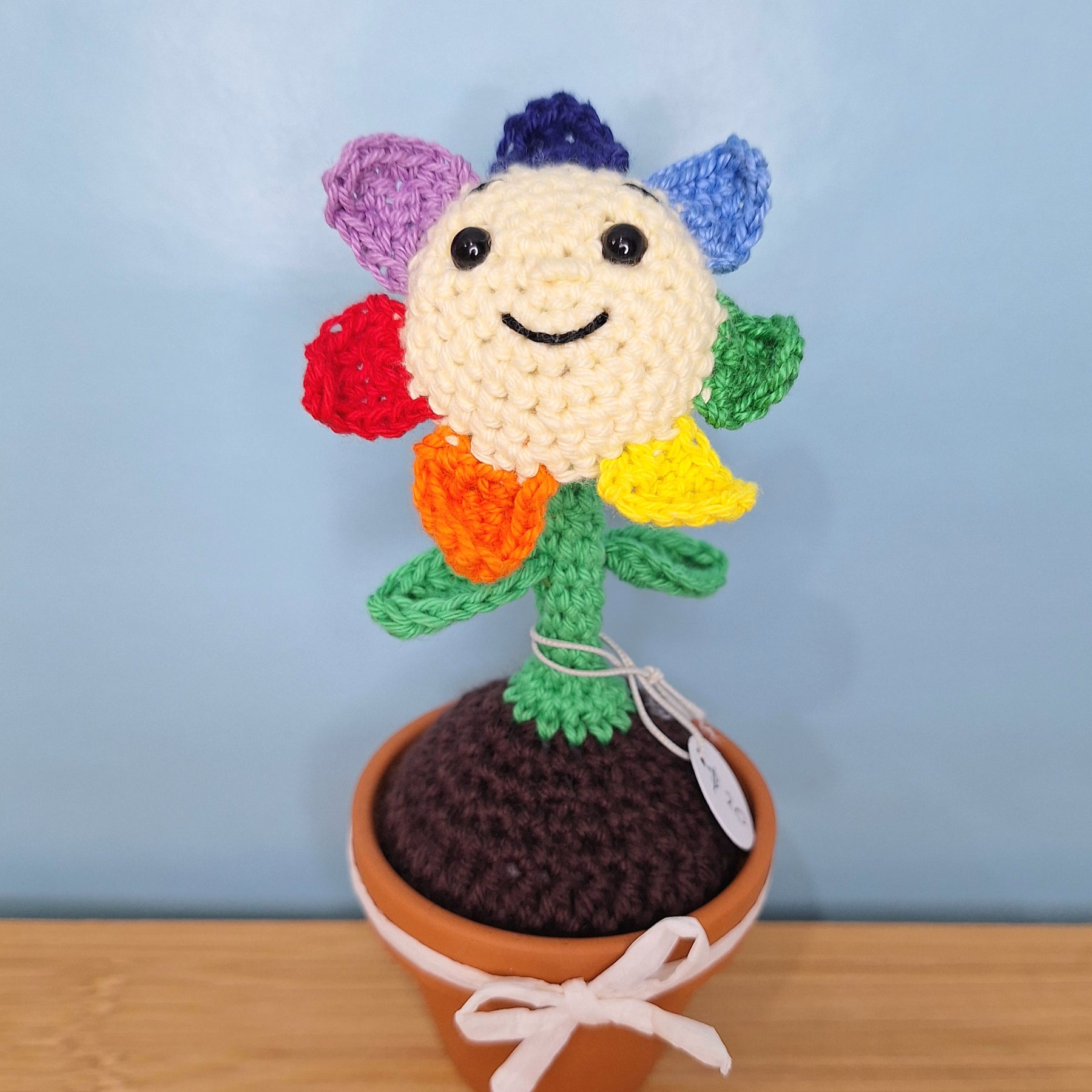 Happy Daisy Crocheted Flower in  Terracotta Pot
