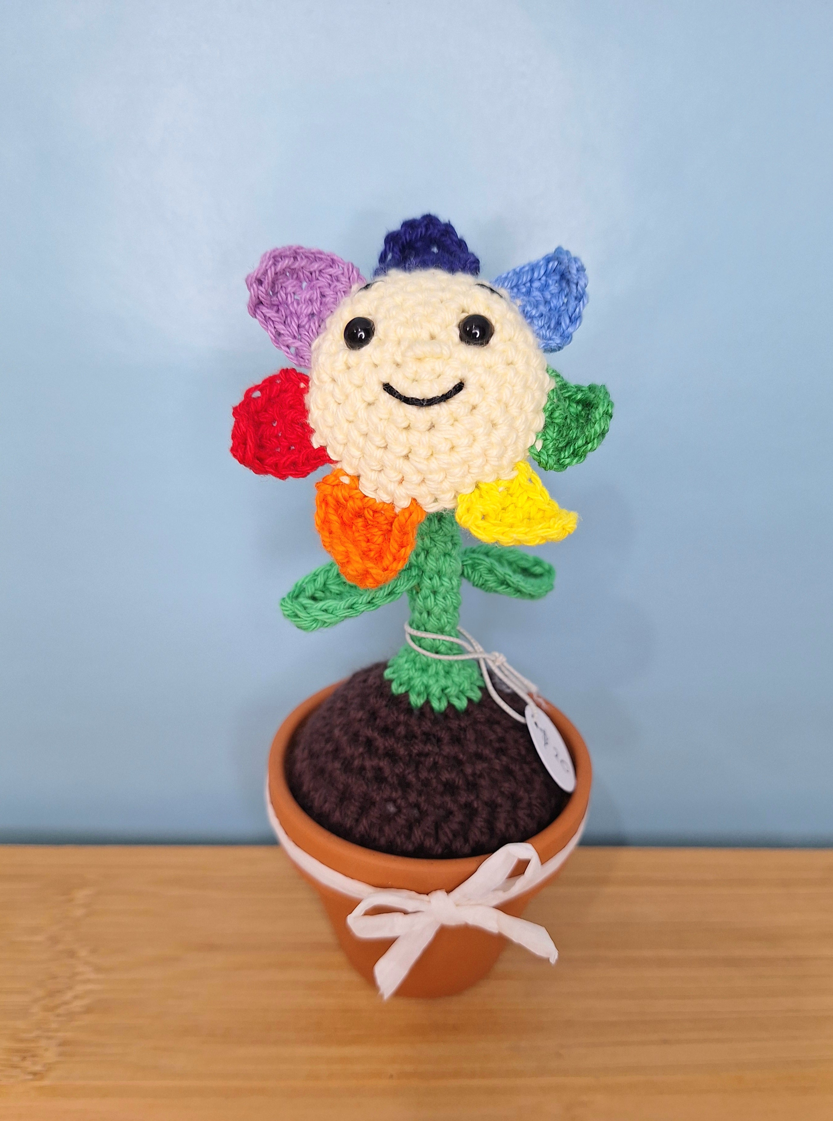 Happy Daisy Crocheted Flower in  Terracotta Pot