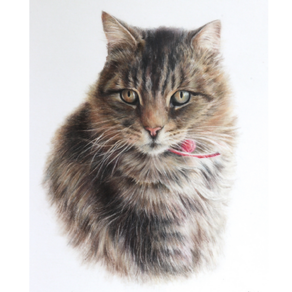 Australian-artist-custom-pet-portrait-cat-tabby