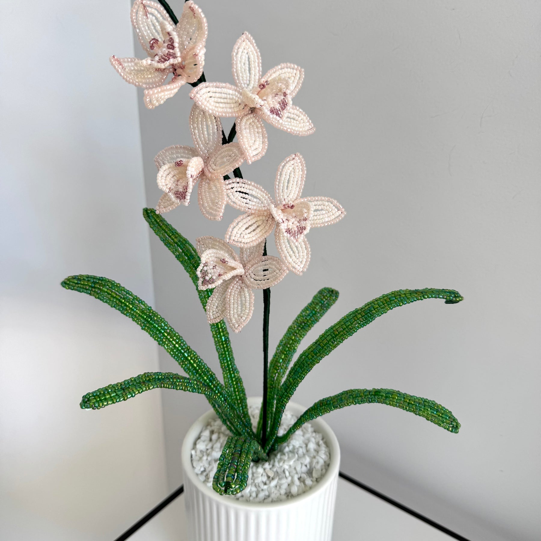 French-beaded miniature Cymbidium Orchid