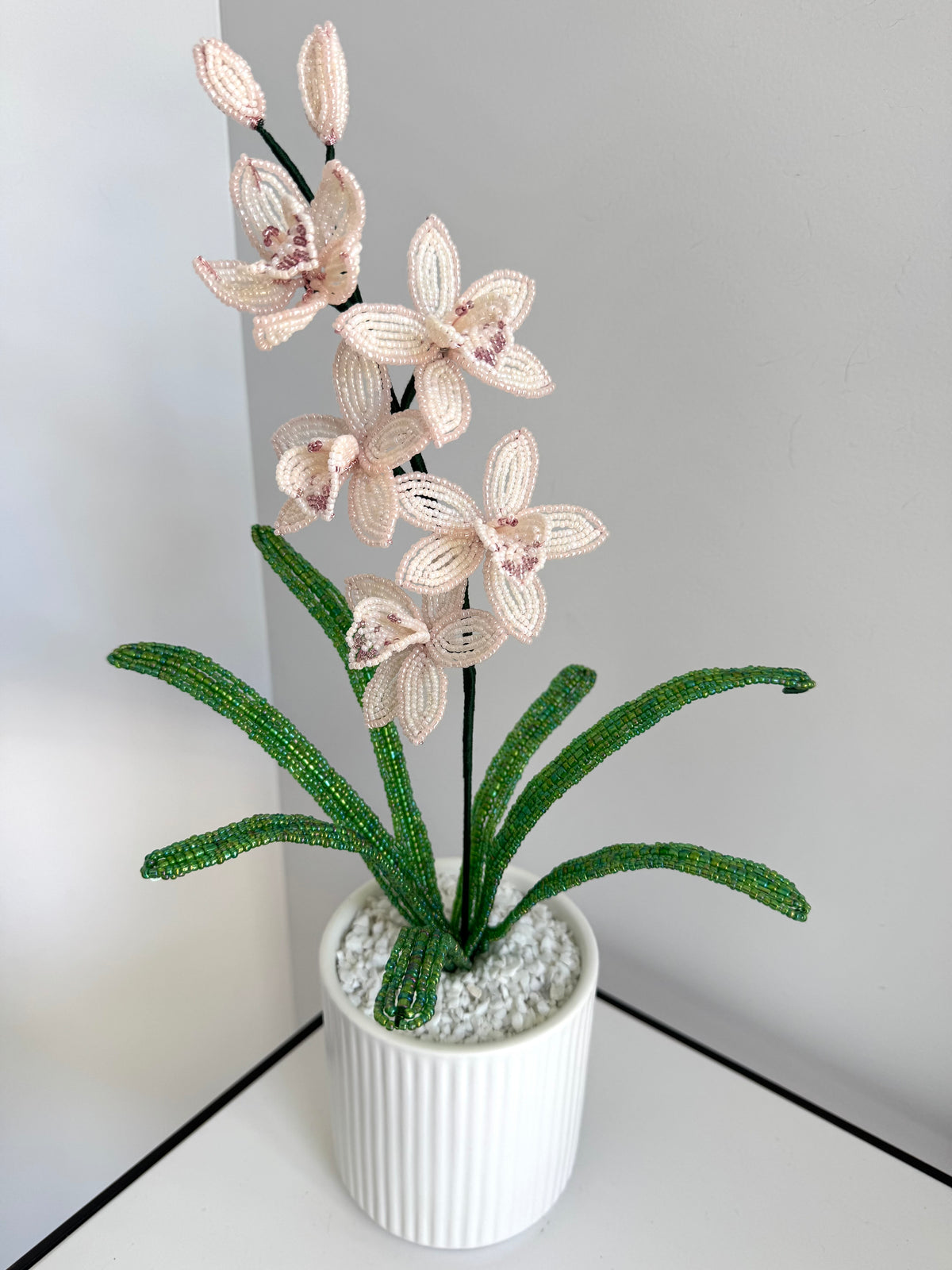 French-beaded miniature Cymbidium Orchid