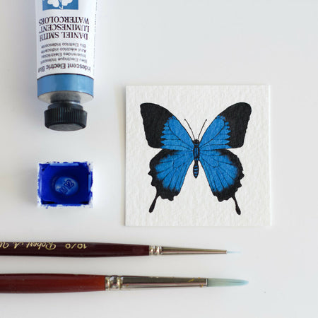 Miniature Ulysses Butterfly Watercolour Painting